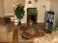 thumb_37_280_town_house_2[1].jpg